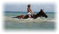 DES-horseback