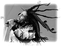 Bob Marley Museum Kingston Tour