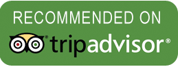 tripadvisor-logo (1)